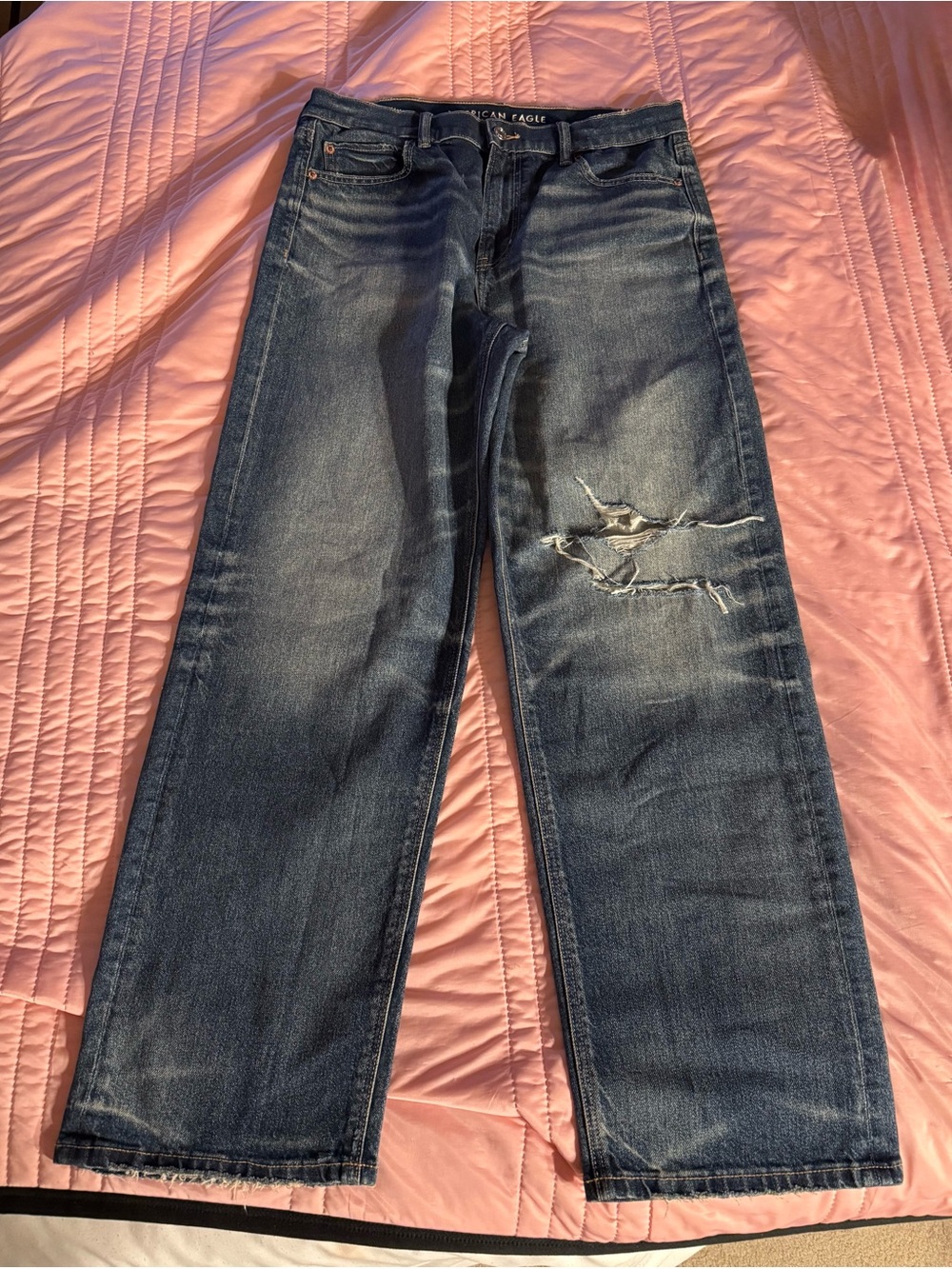 American Eagle Strigid Low-Rise Baggy Straight Jean